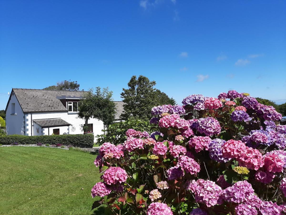 Trenewydd Farm Holiday Cottages カーディガン エクステリア 写真