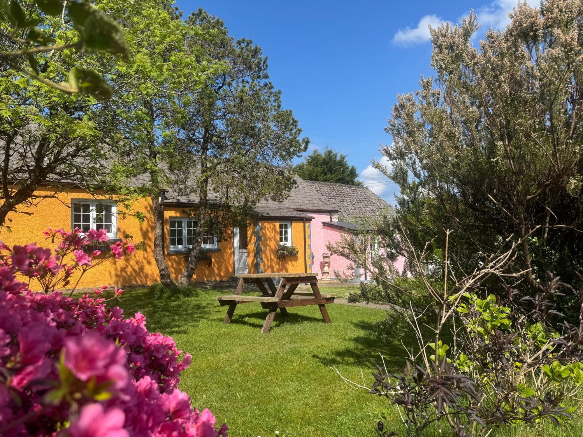 Trenewydd Farm Holiday Cottages カーディガン エクステリア 写真